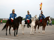 Auch Traditionsvereine in ihren historischen Uniformen nahmen an der Angelobung 2009 in Aspern teil. Foto: Ing. Erwin Rössler.